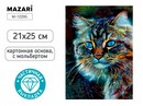 Алмазная мозаика с мольбертом КОТ, 21х25см, 1 дизайн, частичная выкладка, ОПП-упаковка M-12295
