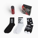 Подарочный набор термос и носки 3 пары KAFTAN "Хозяин жизни", р. 41-44 (27-29 см) 7607751 7607751    