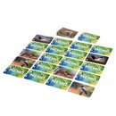 Мемо "Птицы России" 8647 10062977 10062977