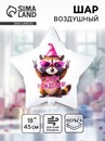 К 18" РУС ДР Енот в колпаке 60см/г + 1202-4207