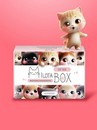 MilotaBox "Кот Бокс" MB094