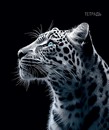 Тетрадь 48л. кл., обл. выбор. Уф-Лак  "Дикая кошка", КТС-Про (10/80) С0231-18