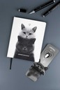 Дневник школьный в комплекте со значком-пином "ДВА КОТА" кожзам:  А5+; твёрдый переплёт, материал обложки: искусственная кожа "Наппа"; декор: печать полноцветная, Феникс+ 72556