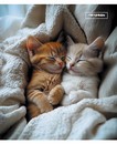 Тетрадь 48 л. кл. обл. мел. картон "Котята", КТС-Про (10/80) С0230-14