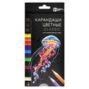 Карандаши 12цв.КЛАССИК , Феникс+ 64096