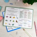 Справочное издание для детей. Серия "Шпаргалки отличника. Готовимся к ВПР "ОКРУЖАЮЩИЙ МИР" 120х170 мм, 16 л., блок - офсет 100 г/м2, полноцветная печать, обл - мелованная бумага 170 г/м?, Феникс+ 65792