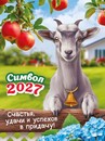 Календарь на магните 2027 г. Символ года. Счастья, удачи! (коллаж),  ЛиС КМО-27-001