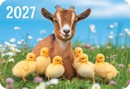 Календарь карманный 2027 г. Символ года, ЛиС КГ-27-184
