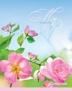 Дневники для старших классов